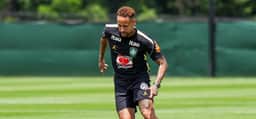 Neymar cita mantra de Hamilton e piloto responde