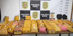 Polícia apreende 113 bolsas de luxo furtadas em operação em SP