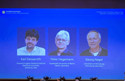 Nobel de Medicina vai para pesquisa sobre optogenética