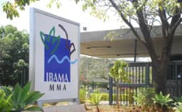 Ibama abre 60 vagas em processo seletivo