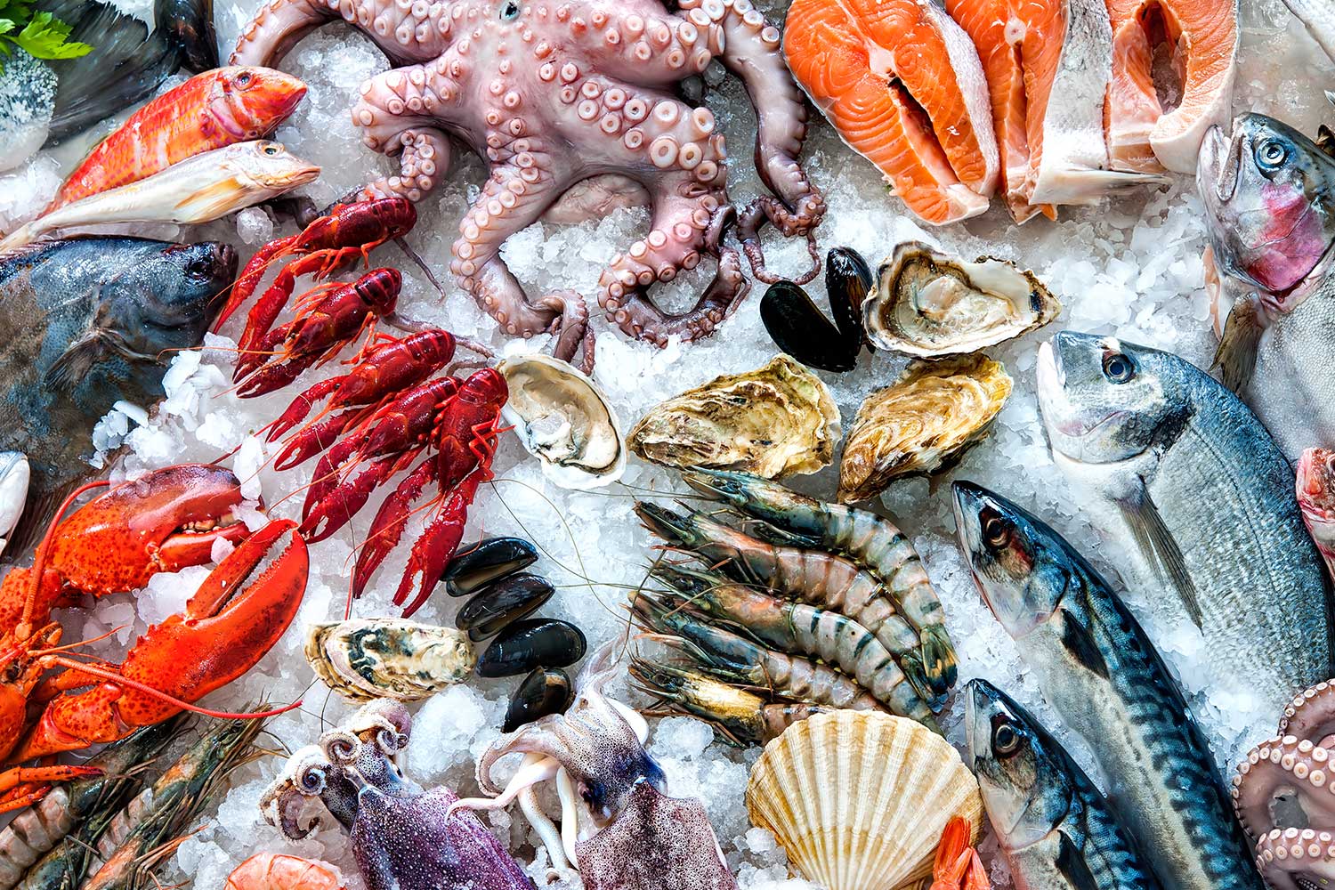 China deve suspender importações de frutos do mar do Japão