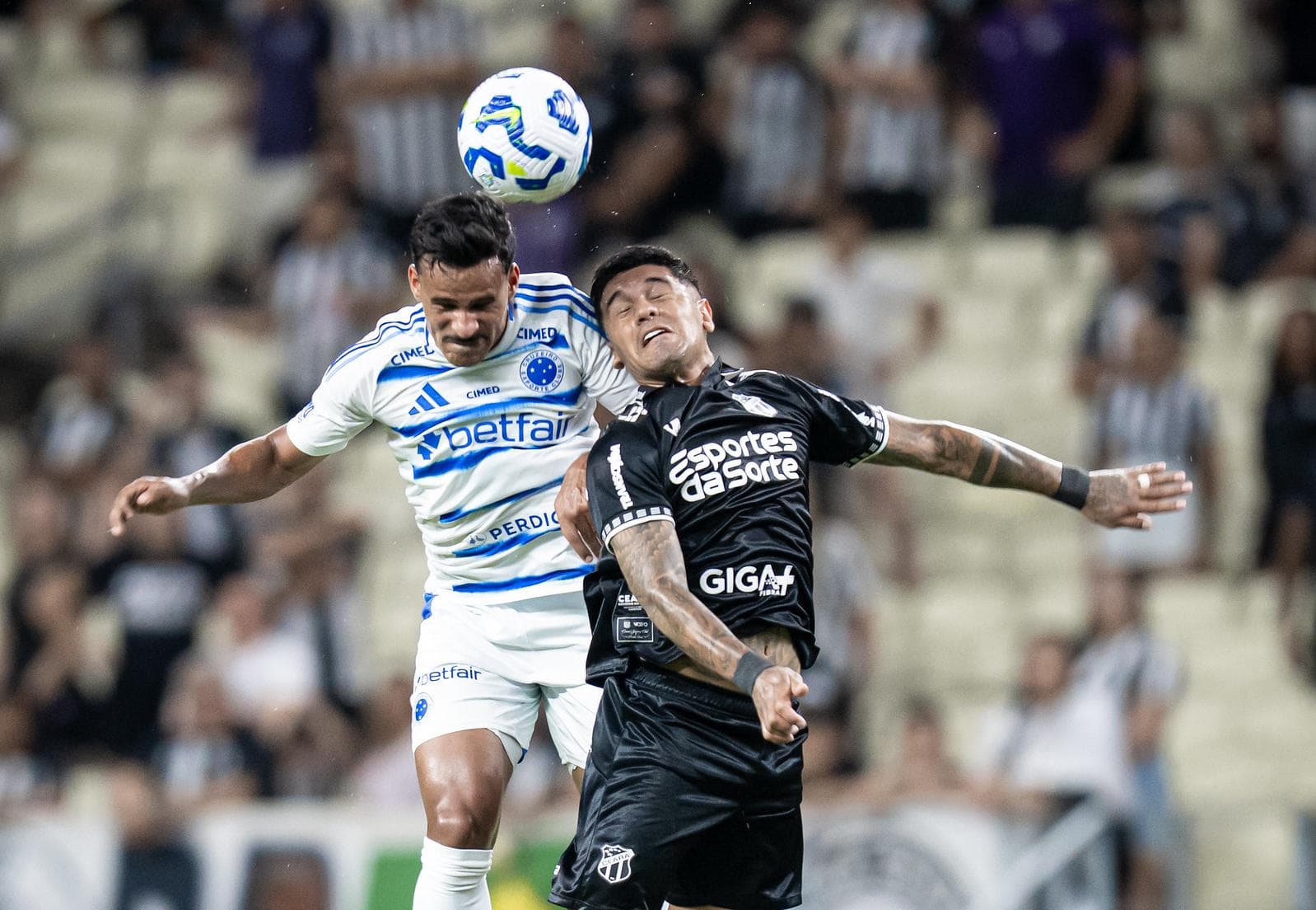 Foto: Samuel Andrade/Cruzeiro