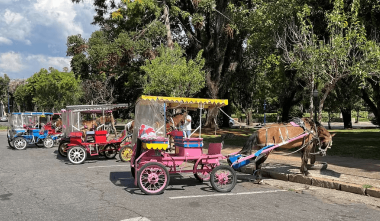 Poços de Caldas aprova fim das charretes com cavalos e substituição por carruagens elétricas