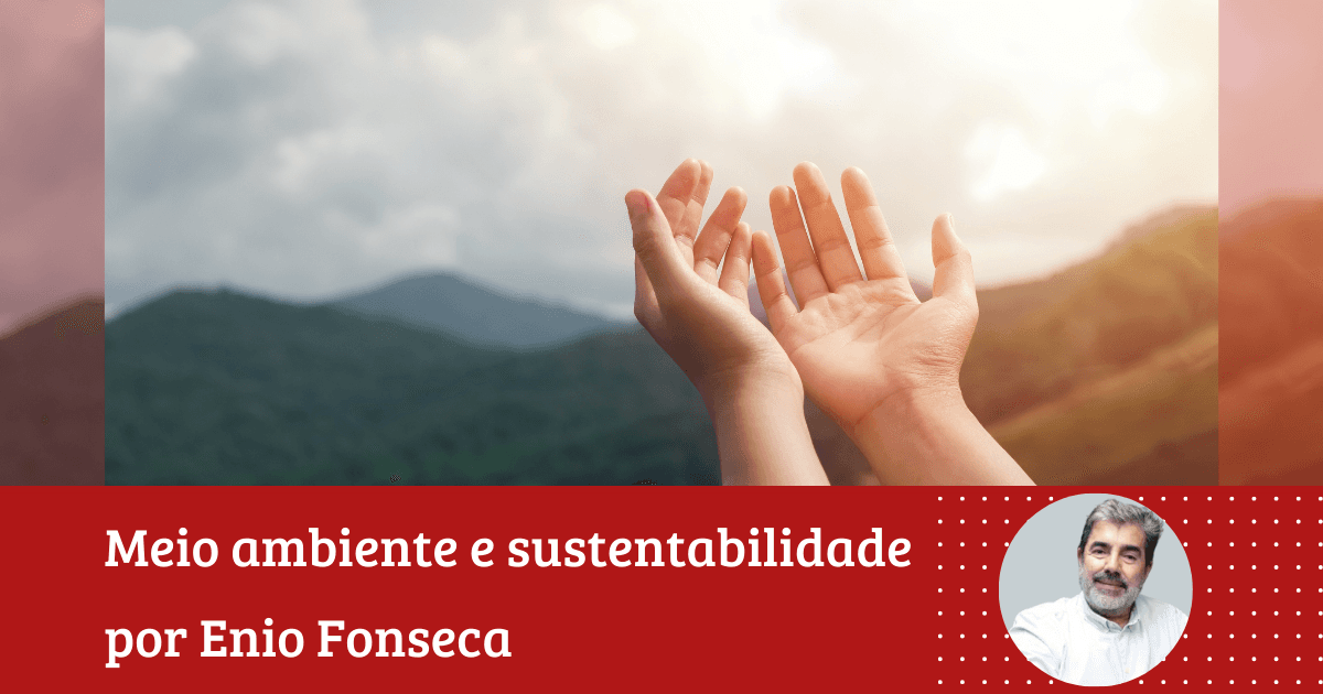 Enio Fonseca: ”2025 foi um ano bom ou ruim? Que venha 2026”