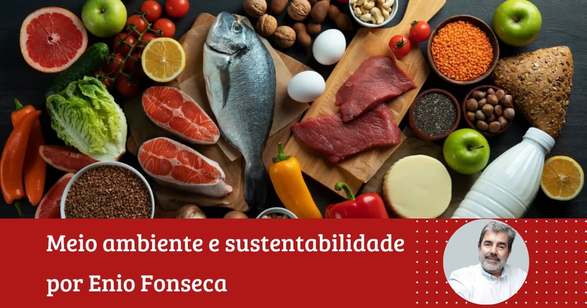 Enio Fonseca: “Pirâmide alimentar: dois pra lá, dois pra cá”