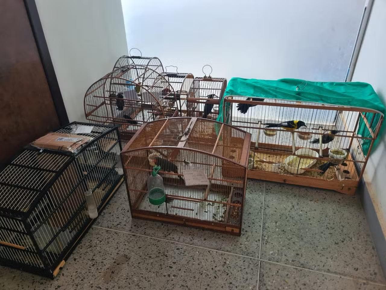 FOT: PMRV/Reprodução