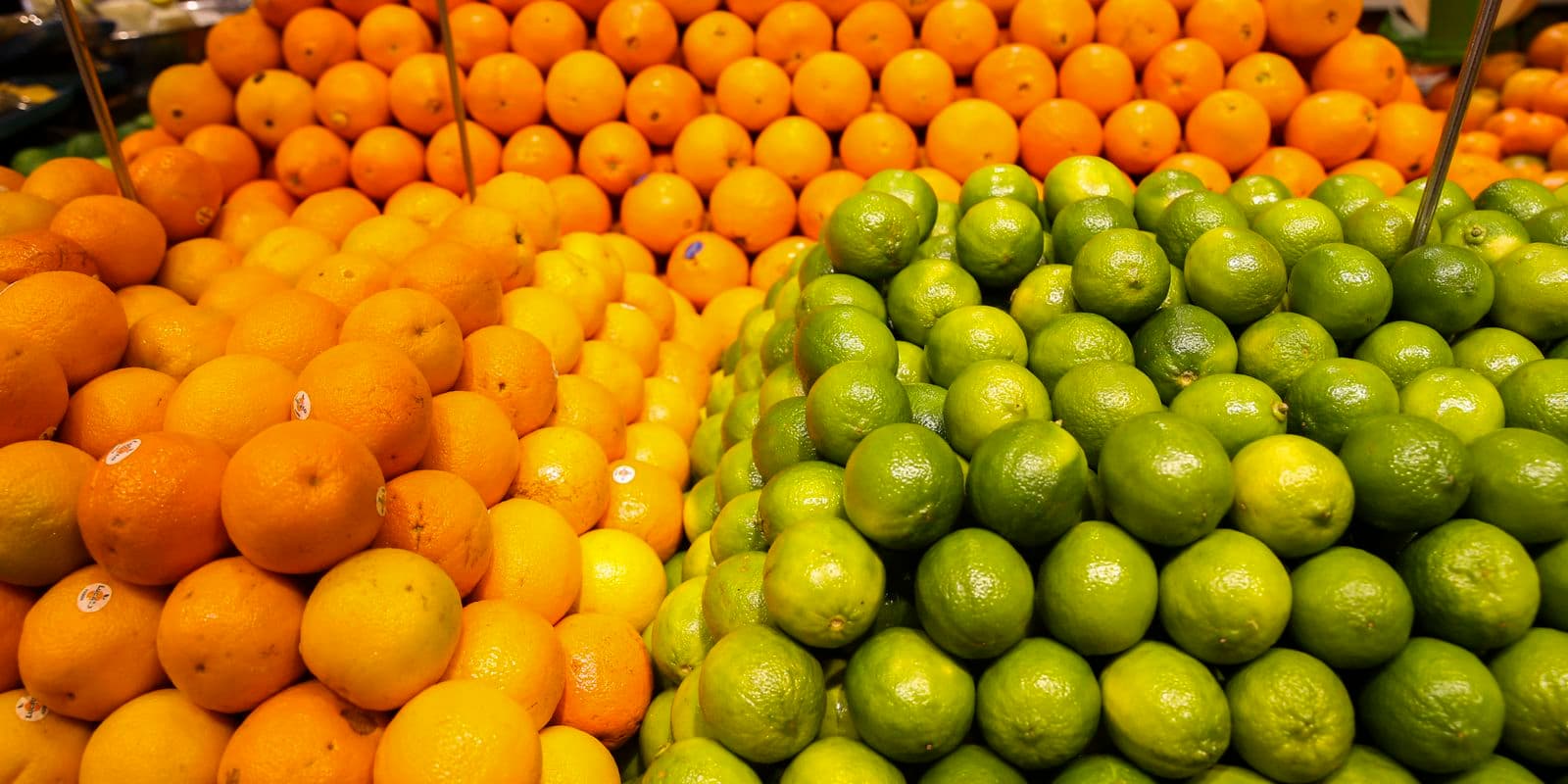 Brasil bate recorde em exportação de frutas em 2025