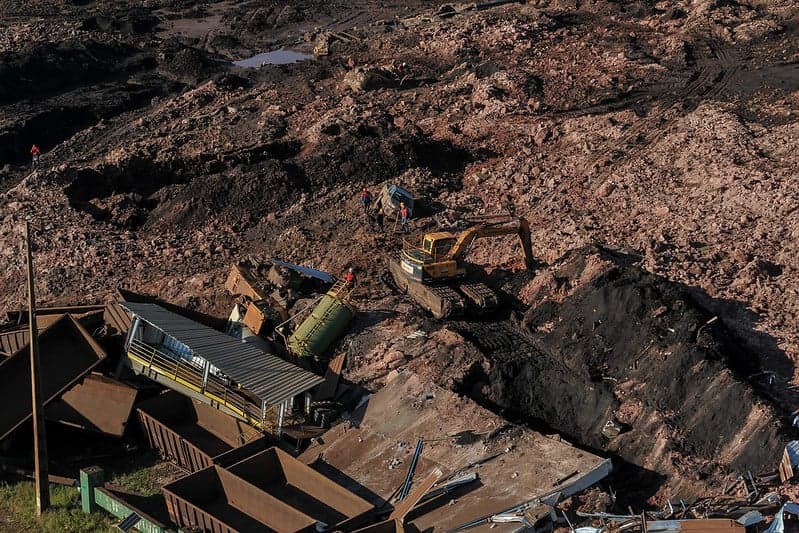 Foto: Felipe Werneck/Ibama