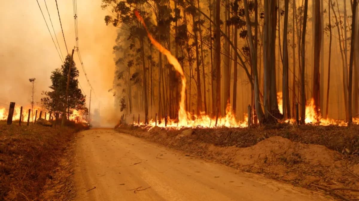 Área queimada | Incêndio de grande proporções - Imagem: LEANDRO FERREIRA/ESTADÃO CONTEÚDO